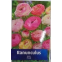 Ranunculus