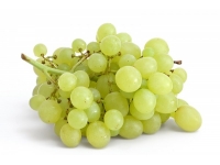 White table grapes varieties