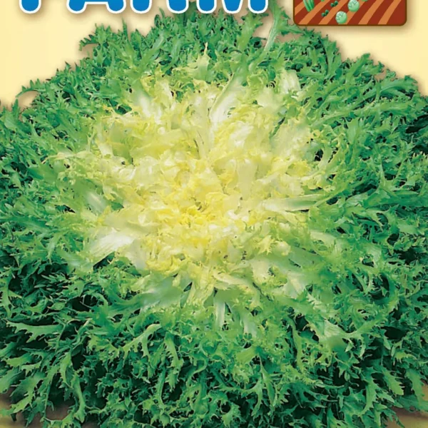 Άγριο Αντίδι