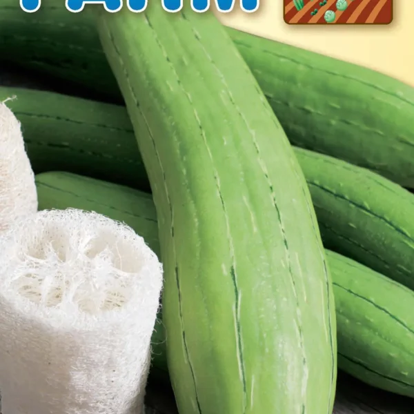 Κολοκύθα Λούφα