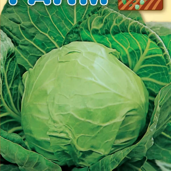 Soft cabbage