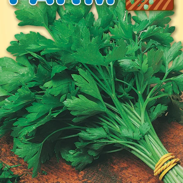 Μαϊντανός Γίγας