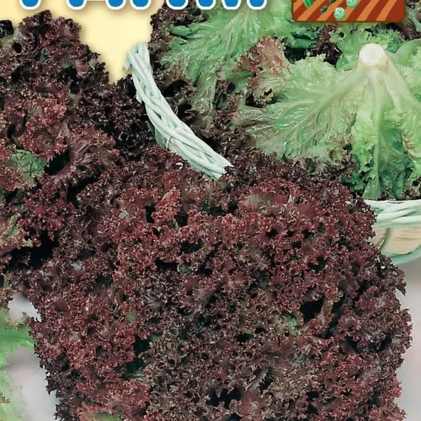 Λόλα Κόκκινη