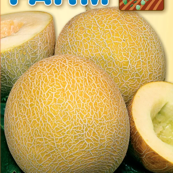 Galia melon