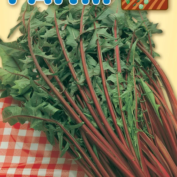 Ραδίκι Ιταλικό