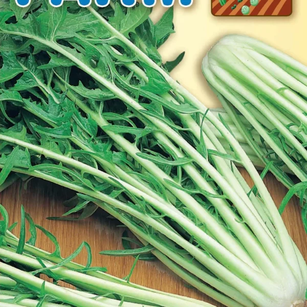 Ραδίκι Καταλονίας