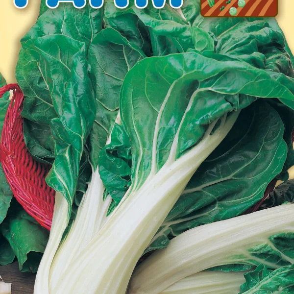 White Swiss Chard