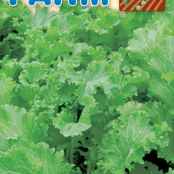 Σινάπι Μαύρο