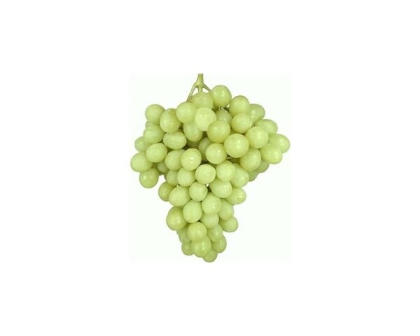 Σουπέριορ(en translation)