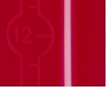 Sprayer πλάτης - DIANA(en translation)