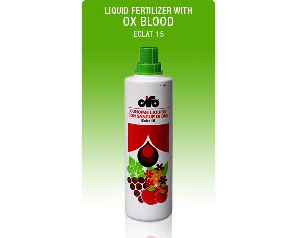 OX  BLOOD(en translation)