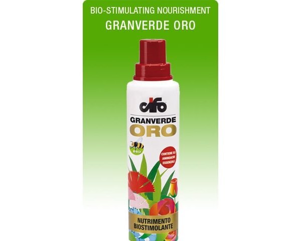 GRANVERDE ORO(en translation)