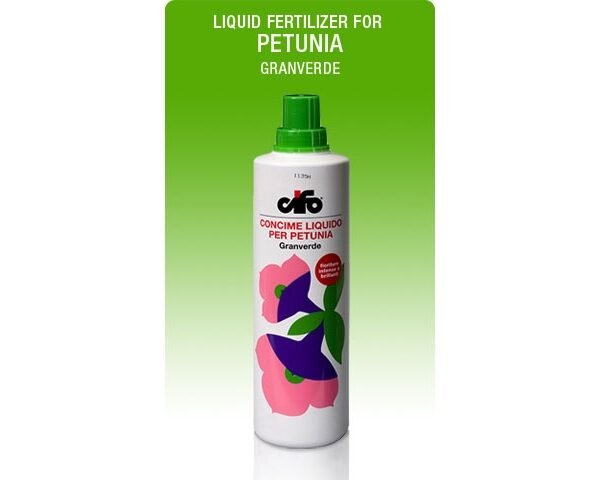 ΠΕΤΟΥΝΙΑ -PETUNIA(en translation)