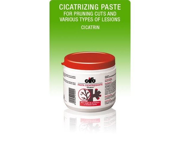 ΠΑΣΤΑ ΕΠΟΥΛΩΣΗΣ CIFO