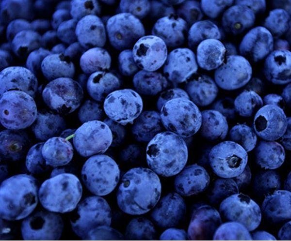 Μύρτιλο(en translation)