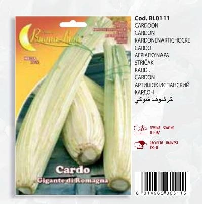 Αγριαγκινάρα(en translation)