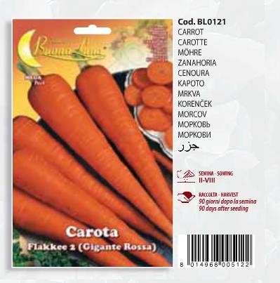 Καρότο(en translation)