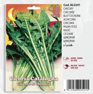 Ραδίκι γίγας(en translation)