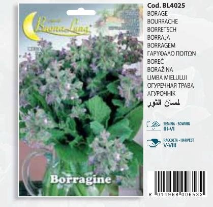 Γαρύφαλο ποιτών