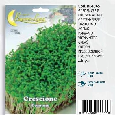 Κάρδαμο(en translation)