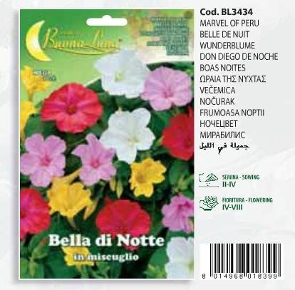 Ωραία της νύχτας(en translation)