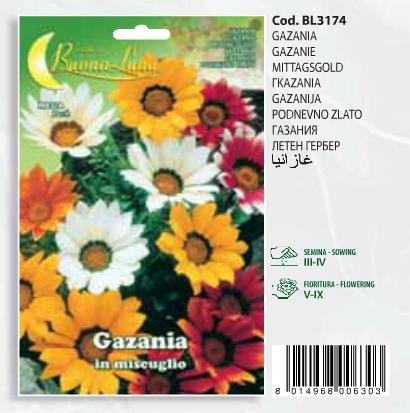 Γκαζάνια(en translation)