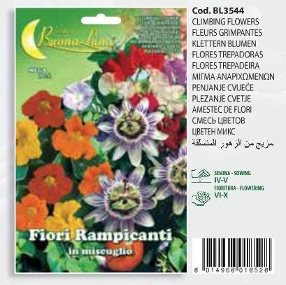 Μείγμα αναριχωμένων(en translation)