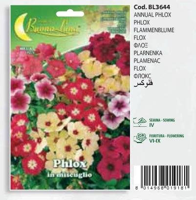 Φλοξ(en translation)