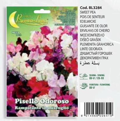 Μοσχομπίζελο