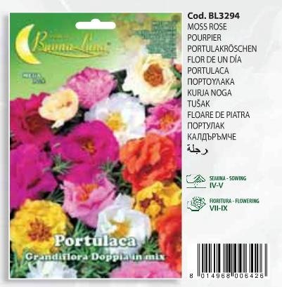 Πορτούλακα