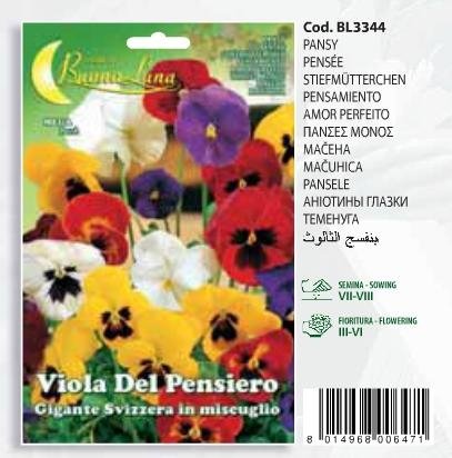 Πανσές μονός