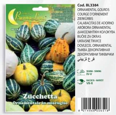 Διακοσμητική κολοκύθα(en translation)