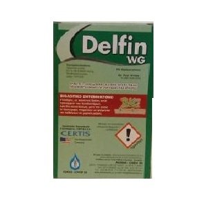 DELFIN WG