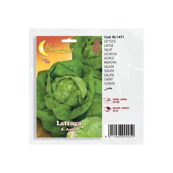 Μαρούλι Lattuga   s  Anna(en translation)