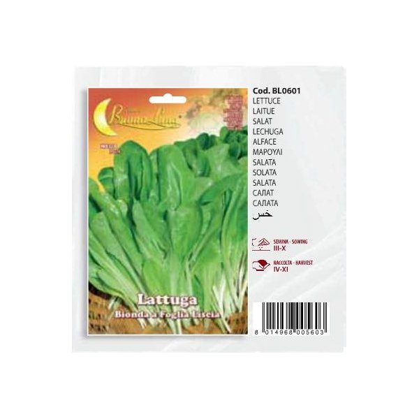 Μαρούλι Lattuga   Bionda a foglia lascia(en translation)