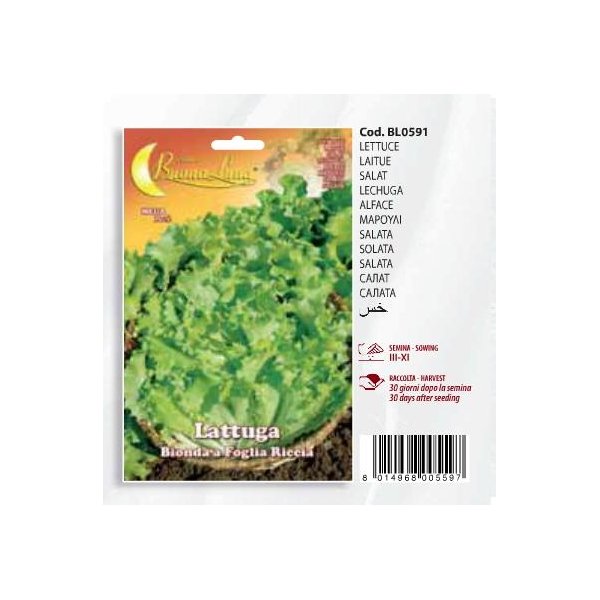 Μαρούλι Lattuga - Bionda a foglia riccia(en translation)