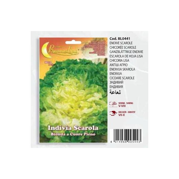 Αντίδι άγριο(en translation)