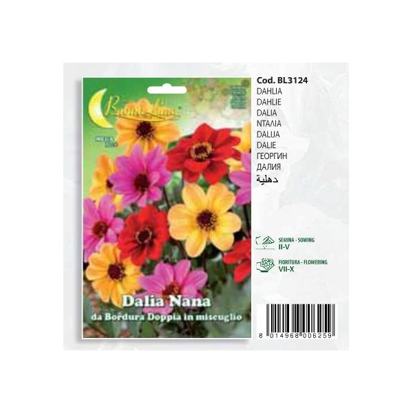 Ντάλια Νάνα(en translation)