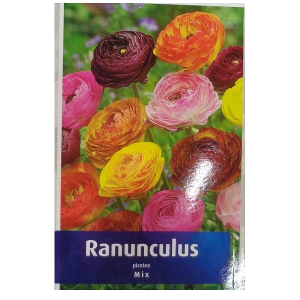 Νεραγκούλα(en translation) - Image 5