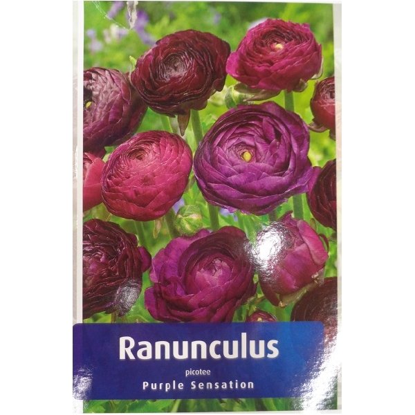 Νεραγκούλα(en translation) - Image 4