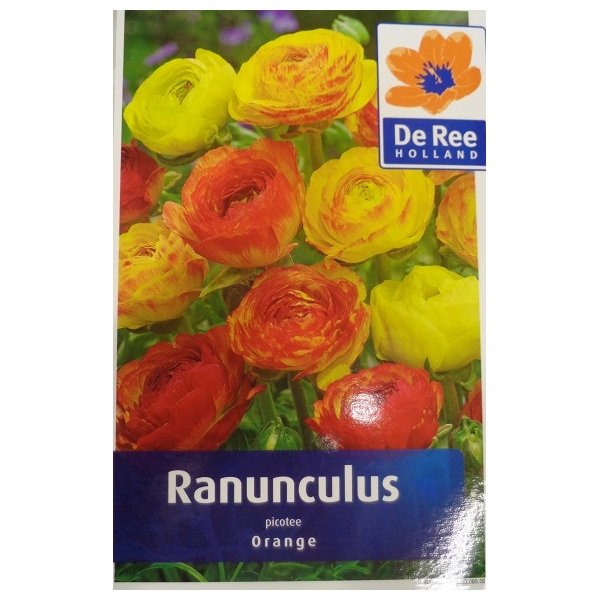 Νεραγκούλα(en translation) - Image 3