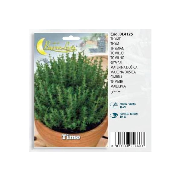 Θυμάρι(en translation)