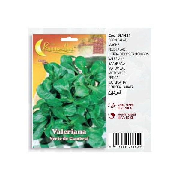 valeriana_BL1421 Valeriana BL1421