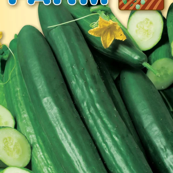 Long Cucumber