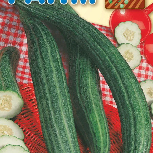 Tortarello Verde Scuro