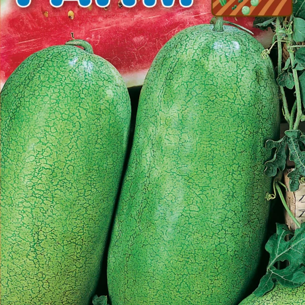 Καρπούζι 'Charleston Gray'