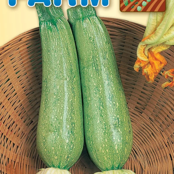 Κομποκολόκυθο ΄Alberello di Sarzana'