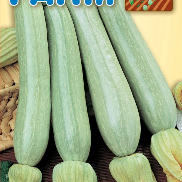 Κολοκυθάκι ‘Bianca di Trieste’