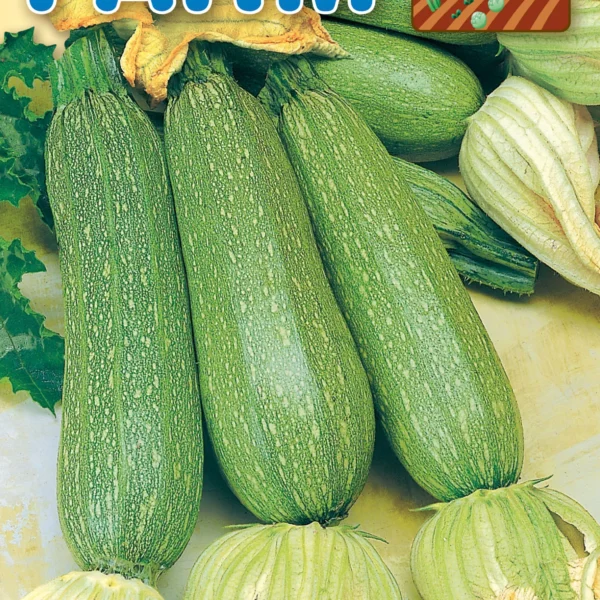 Κολοκύθι 'Greyzini'