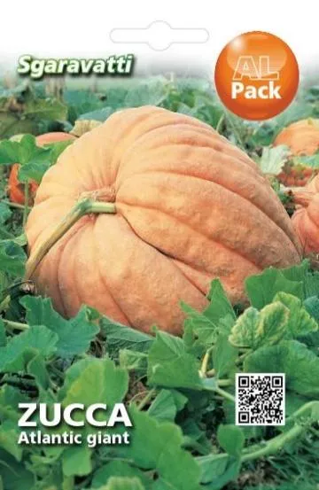 Κολοκύθα 'Atlantic giant'